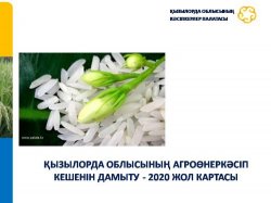 ҚЫЗЫЛОРДАДА АГРОӨНЕРКӘСІП КЕШЕНІН ДАМЫТУДЫҢ ЖОЛ КАРТАСЫ ҚАБЫЛДАНДЫ