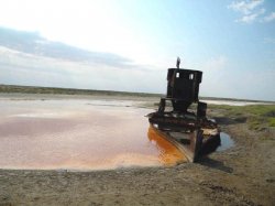 АРАЛДЫҢ ПРОБЛЕМАСЫН КӨТЕРГЕН ҚАЗАҚ ЖІГІТІНІҢ ФОТОСЫ NATIONAL GEOGRAPHIC-ТІҢ ЕҢ ҮЗДІК ТҮСІРІЛІМДЕР ТІЗІМІНЕ ЕНДІ