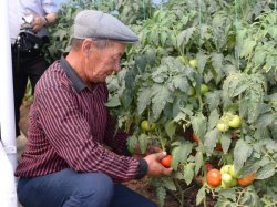 ҚЫЗЫЛОРДАНЫҢ АГРОӨНЕРКӘСІП КЕШЕНІН ДАМЫТУҒА ШЕТЕЛДІК ИНВЕСТОРЛАР ДА ЫНТАЛЫ