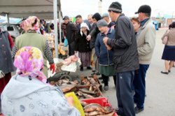 АРАЛДА ШАЛҚАРЛЫҚ ЕҢБЕКШІЛЕР ЖӘРМЕҢКЕ ӨТКІЗДІ