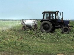 АРАЛДА ШЕГІРТКЕГЕ ҚАРСЫ ШАРАЛАР ҚОЛДАНЫЛАДЫ