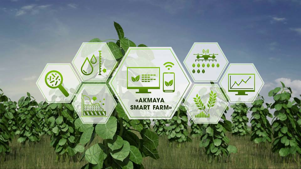 «Akmaya smart farm» цифрлық жобасын іске асыру жұмыстары басталды