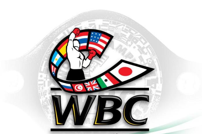 WBC: Қазақстандық кәсіпқой боксшылардың рейтингі жарияланды